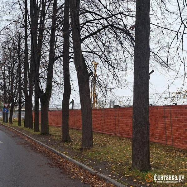 Источник: читатель «Фонтанки»