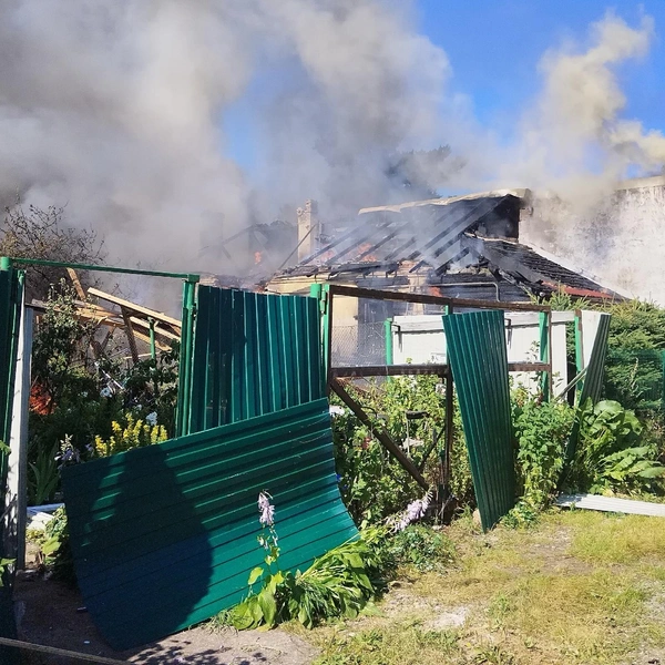 Источник: группа Вконтакте «БОЛЬШАЯ ИЖОРА СОСНОВЫЙ БОР — СПБ Санкт-Петербург»