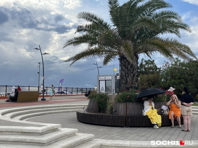 В Сириусе одни заборы и бетон  | Источник: Анна Грицевич / SOCHI1.RU