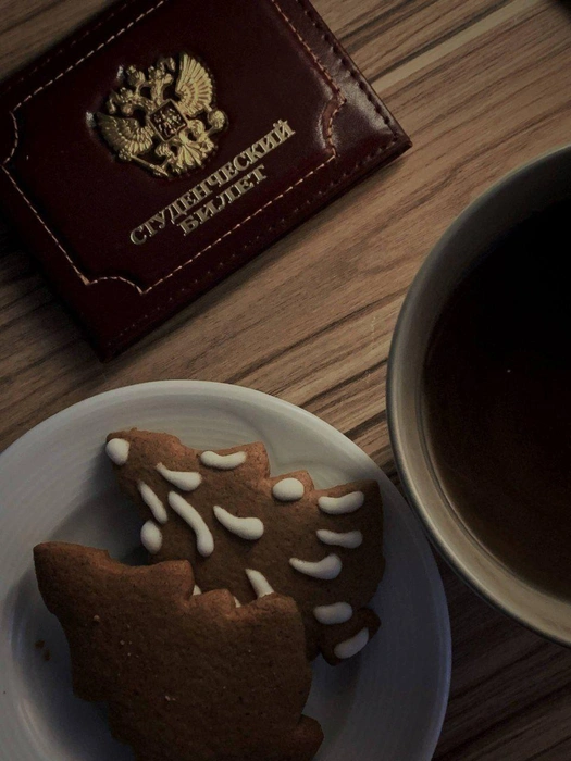 Источник: Кожухова Виктория
