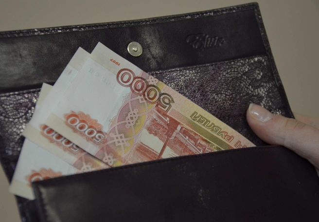 В июле реальные доходы рязанцев увеличились на 7,1% | ya62.ru