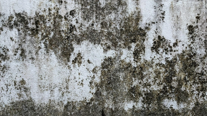 Источник: Unsplash