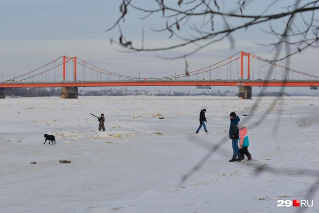 Источник: Иван Митюшёв / 29.RU