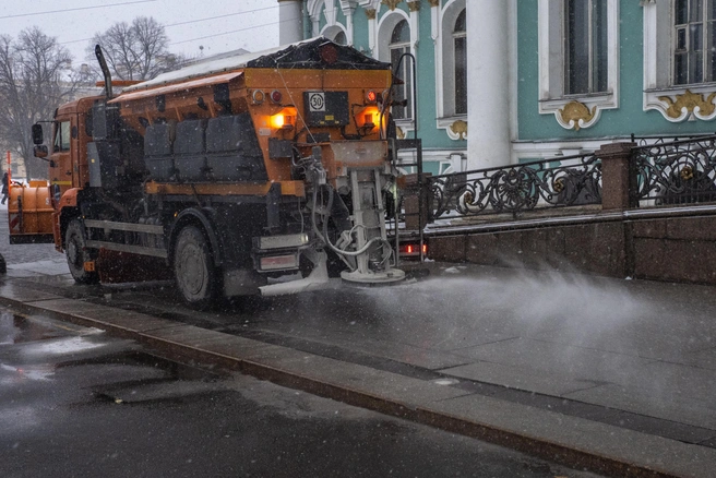 На соль против гололеда Рязань потратит 15,9 милли | Источник: Михаил Огнев / FONTANKA.RU