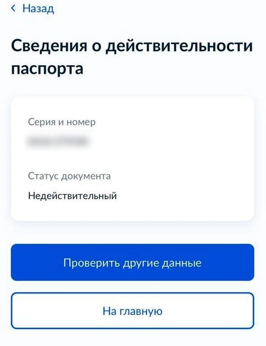 Проверка документа | Источник: Иветта Авраамова / MSK1.RU