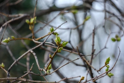 В Башкирии ожидается ветреная и теплая погода