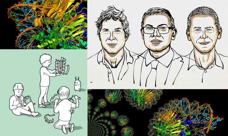 Подобрали ключ к «инструментам жизни». За что присудили Нобелевскую премию по химии 2024
