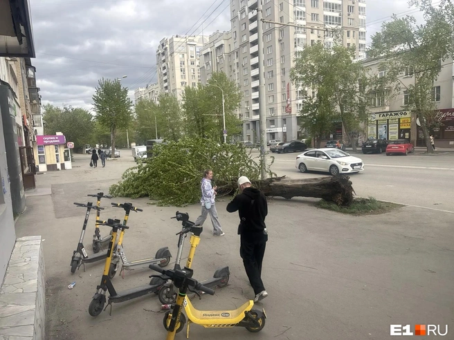 Похожую картину можно сейчас увидеть и на тротуарах  | Источник: читатель E1.RU