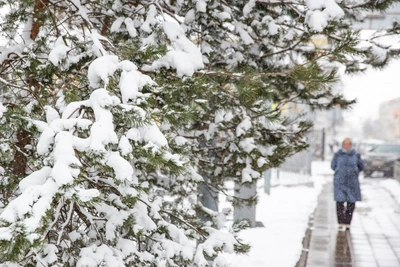 Зимние морозы в Центральной России: прогноз на неделю