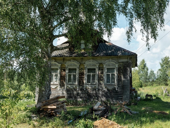 Дом под сенью высокой березы | Источник: Александр Куренной / 76.RU