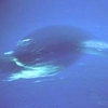 userpic__vastash