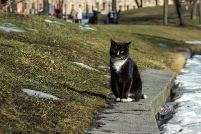 Синоптики обещают иркутянам теплые выходные