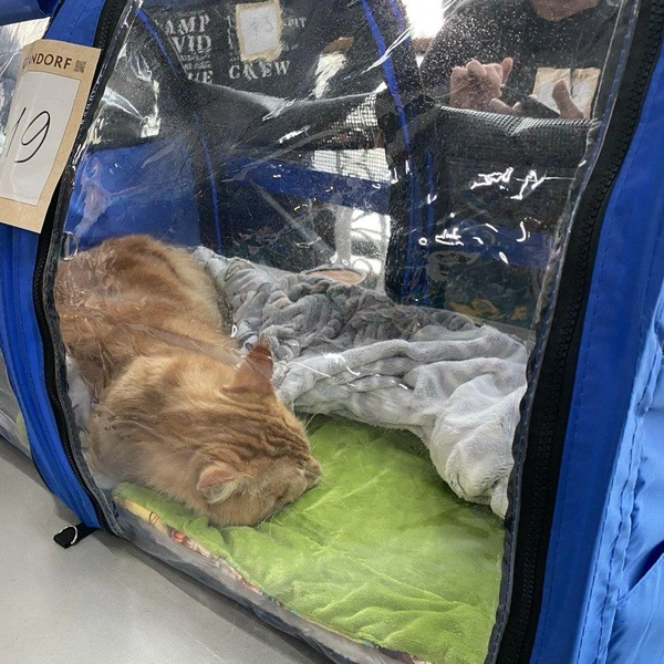 Источник: Ирина Господаренко / NGS22.RU