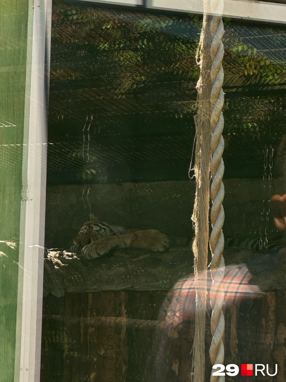 Источник: Валерия Богатырева / 29.RU