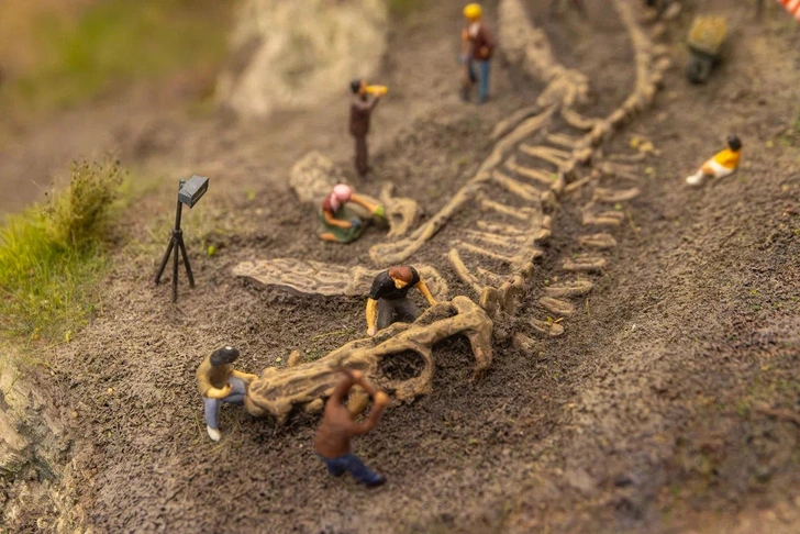 Источник: Пресс-служба «Царь-макета»