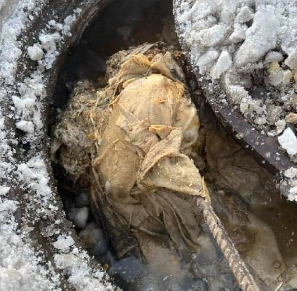 На Арцеуловской вновь отключена вода. Показываем специфическую причину | Источник: Водоканал