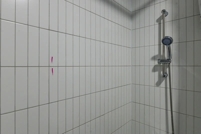 Чешуйницы атакуют новостройки: жители находят их в стенах