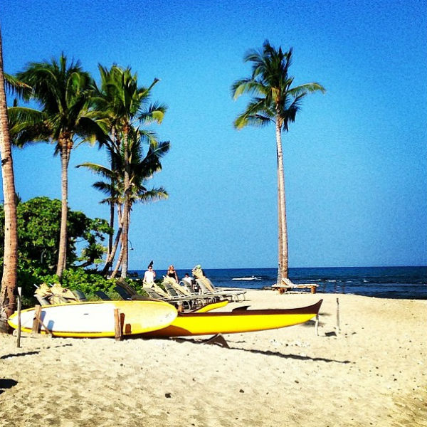 «We are in paradise! Honeymoontime! (перевод с англ. – «Мы в раю! Медовый месяц!»