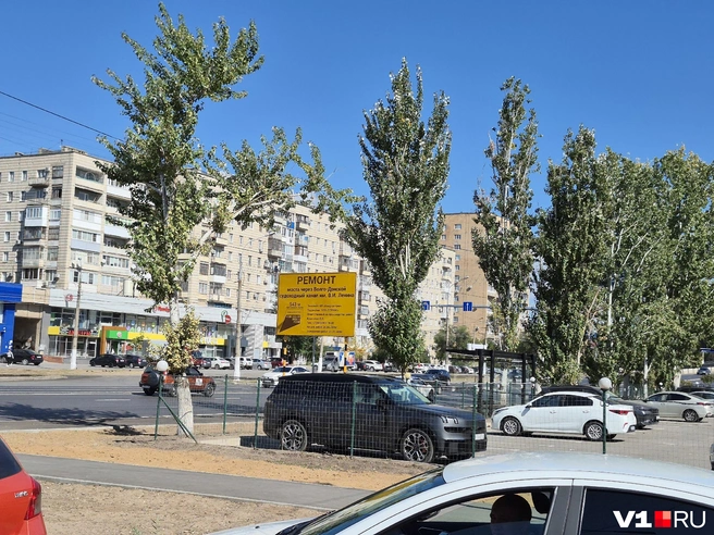 Ремонт моста обещают закончить к 1 ноября 2028 года | Источник: Ирина Яковлева / V1.RU