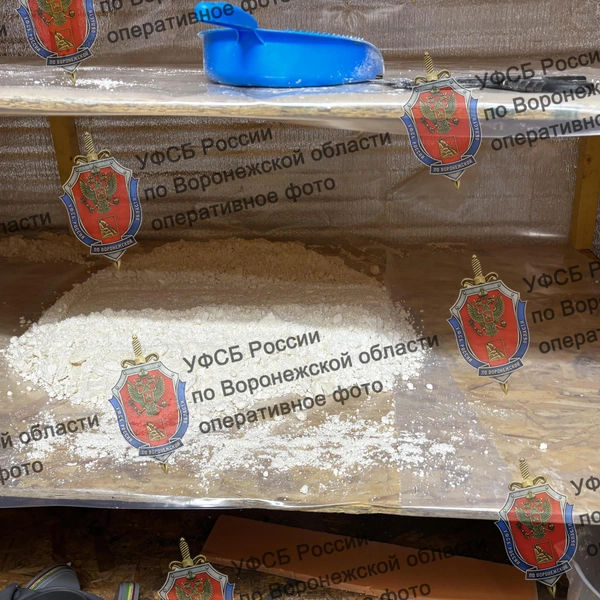 Источник: Предоставлено УФСБ по Воронежской области
