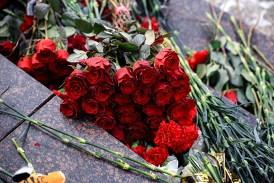 Мемориал героям СВО открыли в Смирных