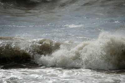 Сильный ветер с порывами до 17 м/с прогнозируется в Сочи и Сириусе