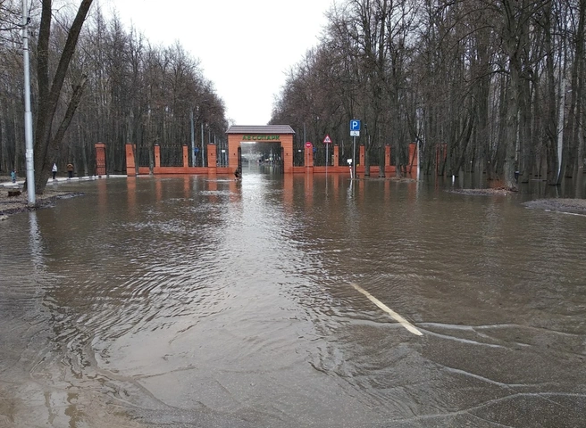 Уровень воды в Оке у гидропоста Рязани понизился еще на 7 см | ya62.ru
