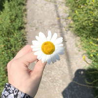 Аватарка Lina Li