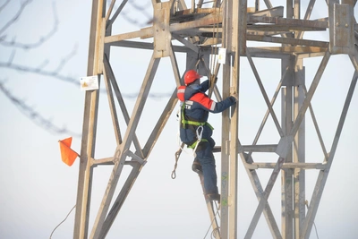 Более 2 тысяч км ЛЭП оборвало из-за снега в Архангельской области