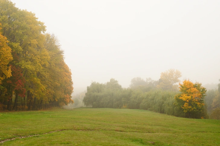 Источник: AlexeyBorodin/Getty Images