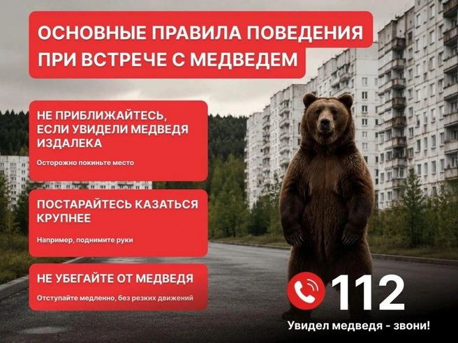 Такую памятку опубликовали в телеграм-канале мэра | Источник: Верещагин Сергей / Telegram