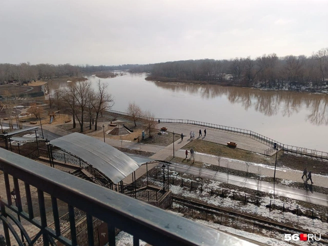 В прошлом году уровень воды достигал половины самого высокого дерева на этом кадре | Источник: Владислав Митрошин / 56.RU