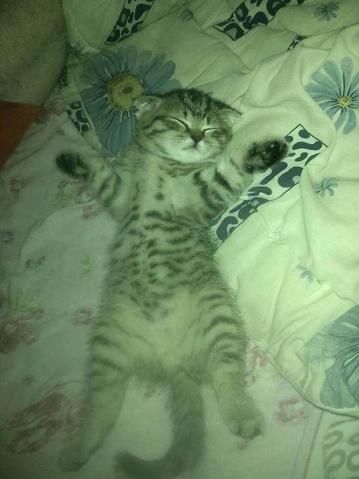 В экстазе | Источник: читатель 63.RU