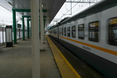 ЧП в Ростове задерживает поезда через Воронежскую область