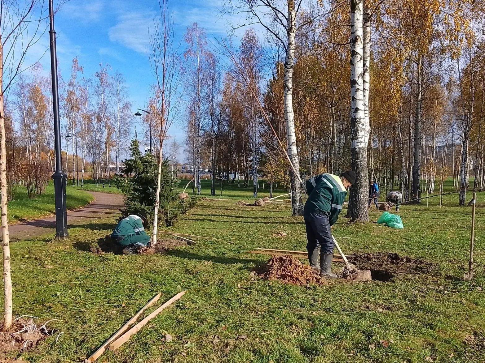 В Петербурге за неделю высадили более 6 тысяч растений