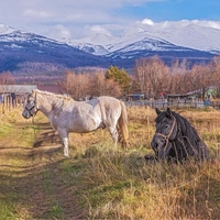 Рай в кратере вулкана: чем особенно село Эссо — «камчатская Швейцария»