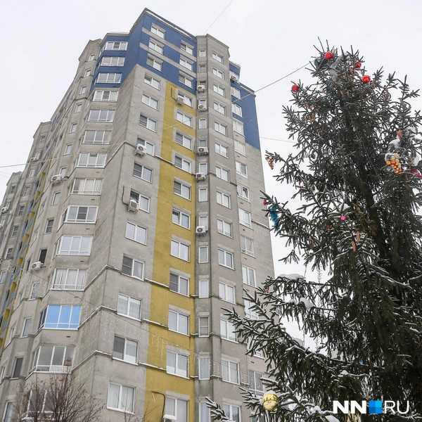 Источник: Наталья Бурухина / NN.RU