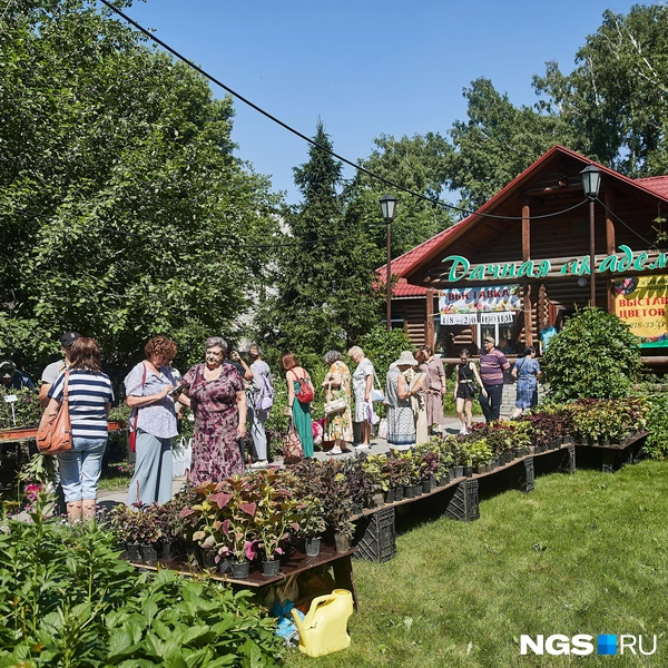 Посетители пришли с самого раннего утра | Источник: Александр Ощепков / NGS.RU