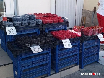 А вот полкило ягод обойдется в 300 рублей | Источник: Галина для MSK1.RU