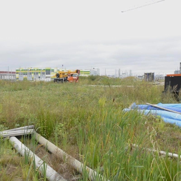 Источник: КСП Санкт-Петербурга