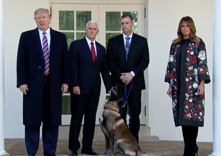 Дональд Трамп награждает пса (видео)