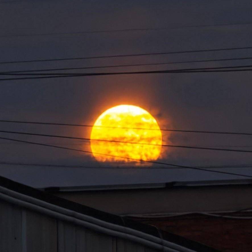 «Бобровая Луна» взошла над Россией: фото редкого явления и что сулит по поверьям