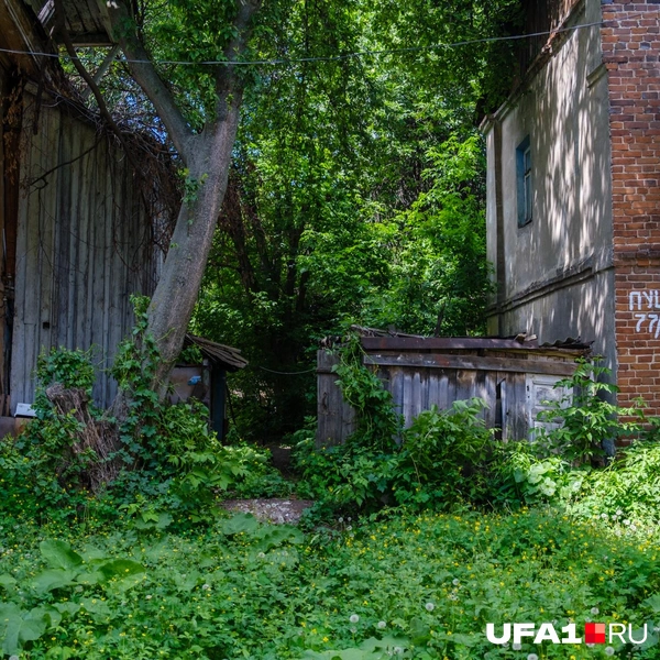 Источник: Булат Салихов / UFA1.RU