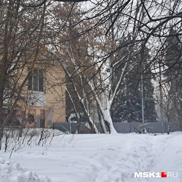 Здание огородили забором со всех сторон | Источник: Арина Майорова / MSK1.RU