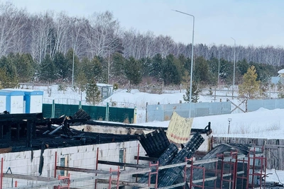 Хозяйка питомника опасается повторного поджога