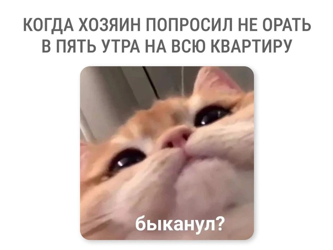 Действительно, какие-то невыполнимые требования | Источник: Мария Романова / Городские медиа