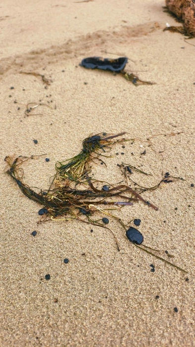 Кадры из Джемете | Источник: makovozovy / T.me