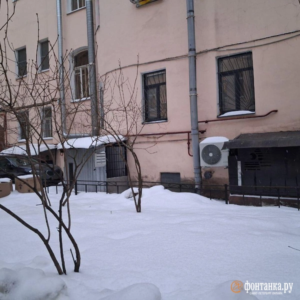 Источник:  Анна Мотовилова / «Фонтанка.ру»