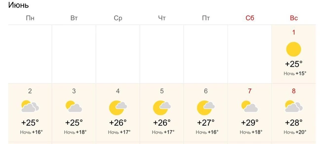 Жару до+29 градусов обещают в Алтайском крае | Источник: World Weather