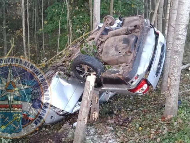 Судя по кадрам, салон автомобиля пробило дерево | Источник: Аварийно-спасательная служба ЛО